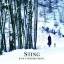 Sting: Sting - If on a Winter s Night