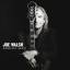 Joe Walsh: Analog Man