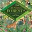 Libby Walden: In Focus: Forests