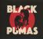 Black Pumas: Black Pumas