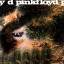 Pink Floyd: A Saucerful Of Secrets (rema