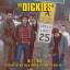 The Dickies: A Night That Will Live In I