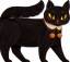 Robie Rogge: 1 BLACK CAT