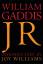 William Gaddis: J R