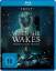 Dave Clark: When she wakes (Blu-ray)
