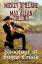 Mickey Spillane Max Allan Collins: Shoot Mickey Spillane Max Allan Collins: Shoot