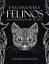 Coloring Bandit: Fascinantes Felinos