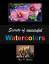 Max Muller: Secrets of successful Waterc Max Muller: Secrets of successful Waterc