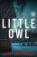 Lauri Schoenfeld: Little Owl