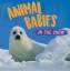 Sarah Ridley: Animal Babies: In the Snow