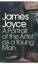 James Joyce: A Portrait of the Artist as