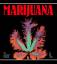 Drake: Cultivator s Handbook of Marijuan