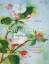 Ann Lindsay: Watercolor