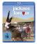 Jeff Tremaine: Jackass Forever (Blu-ray)