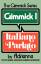 Adrienne: Gimmick I