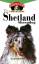 Cathy Merrithew: The Shetland Sheepdog