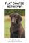 Dijk, Paul van: Flat Coated Retriever Dijk, Paul van: Flat Coated Retriever