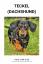 Dijk, Paul van: Teckel (dachshund) Dijk, Paul van: Teckel (dachshund)