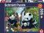 Puzzle - Pandafamilie am Wasserfall (500