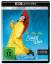 Stanley Donen Gene Kelly: Singin in th Stanley Donen Gene Kelly: Singin in th