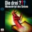 Die drei ???: Die drei ??? 221 - Manuskr