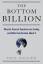 Paul Collier: The Bottom Billion: Why th