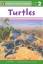 Jodi Huelin: Turtles