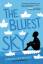 Christina Diaz Gonzalez: The Bluest Sky