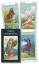 Lo Scarabeo: TAROT DECK-LENORMAND