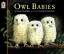 Martin Waddell: Owl Babies