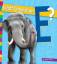 Marie Powell: What Good Is an E?