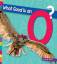 Marie Powell: What Good Is an O?