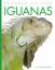 Valerie Bodden: Iguanas