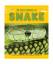 Clare Hibbert: Snake