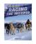 Kristen Rajczak: Racing the Iditarod