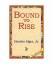 Horatio Jr. Alger: Bound to Rise