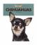 Valerie Bodden: Chihuahuas