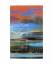 Judith Barrington: Long Love: New & Sele Judith Barrington: Long Love: New & Sele