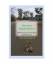 gebrauchtes Buch – David Harold Barry – Beyond Appearances: Reflections on Principles and Practice – Bild 1