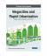 Megacities and Rapid Urbanization Megacities and Rapid Urbanization