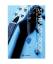 gebrauchtes Buch – Walter Amon – Styrassic Rock – Bild 1