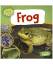 Nancy Dickmann: Frog