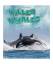 Jaclyn Jaycox: Killer Whales Are Awesome