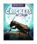 Klatte, Kathleen A.: Crickets at Night (