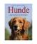 Sarah Whitehead: Hunde