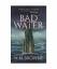 N M Browne: Bad Water