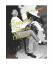 gebrauchtes Buch – Sheppard, H. Cecil – Sheppard's Famous Anconas – Bild 1