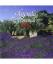BEL FRANCK: AGENDA PROVENCAL 2016 GRAND BEL FRANCK: AGENDA PROVENCAL 2016 GRAND