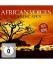 Various Artists: African Voices & Landsc