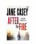 Jane Casey: After the Fire (Maeve Kerrig